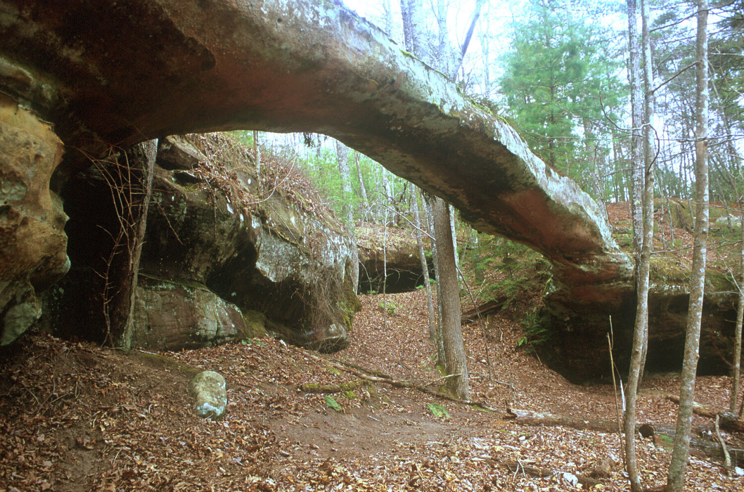 Needle Arch rising above a forest trail in Big South Fork National River and Recreation Area