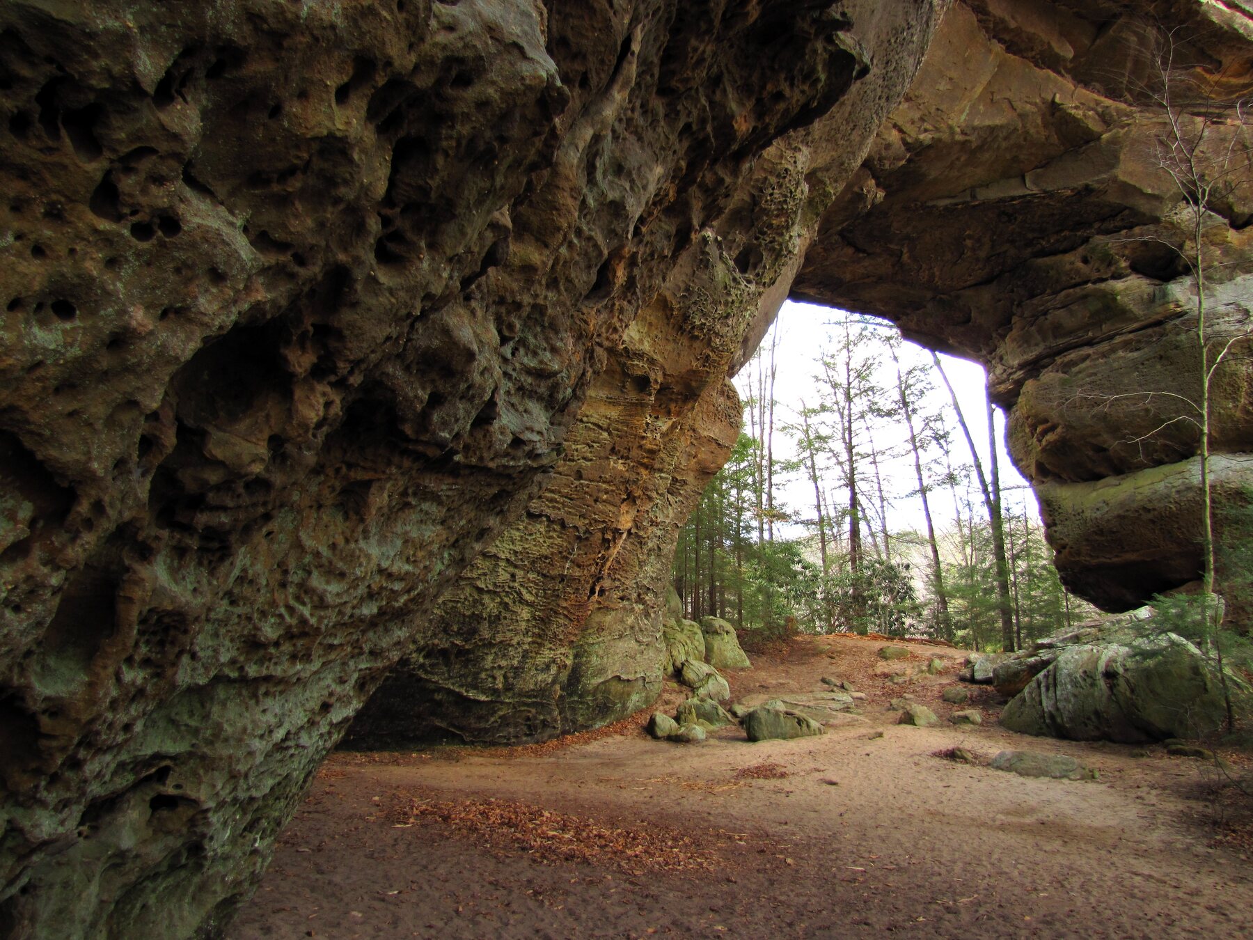 View from beneath South Twin Arch toward trees framed by the sandstone opening